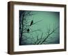 Freedom-Christy Ann-Framed Giclee Print