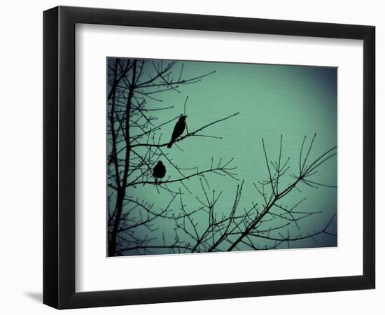 Freedom-Christy Ann-Framed Giclee Print