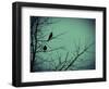 Freedom-Christy Ann-Framed Giclee Print