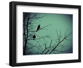 Freedom-Christy Ann-Framed Giclee Print