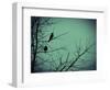 Freedom-Christy Ann-Framed Giclee Print