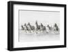 Freedom-Marco Carmassi-Framed Photographic Print