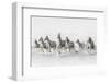 Freedom-Marco Carmassi-Framed Photographic Print