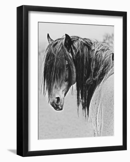 Freedom-Sally Linden-Framed Photographic Print