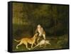 Freeman, the Earl of Clarendon's Gamekeeper, with a Dying Doe and Hound, 1800-George Stubbs-Framed Stretched Canvas