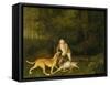 Freeman, the Earl of Clarendon's Gamekeeper, with a Dying Doe and Hound, 1800-George Stubbs-Framed Stretched Canvas