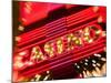 Freemont Street Experience, Downtown Binion's Horseshoe Casino, Las Vegas, Nevada, USA-Walter Bibikow-Mounted Photographic Print