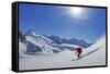 Freeride skier, Chamonix-Zermatt, Swiss Alps, Switzerland-ClickAlps-Framed Stretched Canvas