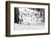 Freeriders-Marcel Rebro-Framed Premium Photographic Print