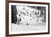 Freeriders-Marcel Rebro-Framed Photographic Print