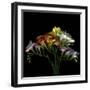 Freesia 7-Magda Indigo-Framed Photographic Print