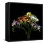 Freesia 7-Magda Indigo-Framed Stretched Canvas