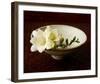 Freesia and Bowl-Florence Rouquette-Framed Art Print