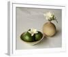 Freesia and Limes-Florence Rouquette-Framed Art Print