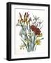 Freesia and Others-null-Framed Art Print