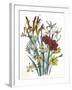 Freesia and Others-null-Framed Art Print