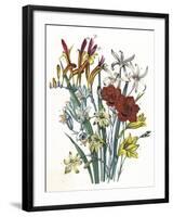 Freesia and Others-null-Framed Art Print