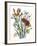 Freesia and Others-null-Framed Art Print