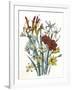 Freesia and Others-null-Framed Art Print