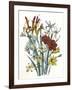 Freesia and Others-null-Framed Art Print