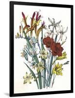 Freesia and Others-null-Framed Art Print