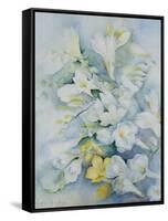 Freesia Eldus, Giant White-Karen Armitage-Framed Stretched Canvas