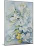Freesia Eldus, Giant White-Karen Armitage-Mounted Giclee Print