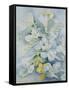 Freesia Eldus, Giant White-Karen Armitage-Framed Stretched Canvas