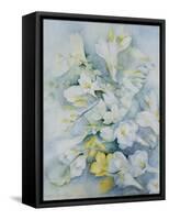 Freesia Eldus, Giant White-Karen Armitage-Framed Stretched Canvas