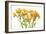 Freesia II-Tim O'toole-Framed Art Print