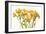 Freesia II-Tim O'toole-Framed Art Print