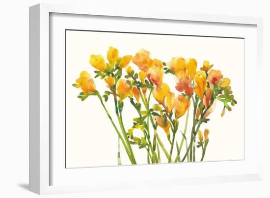 Freesia II-Tim O'toole-Framed Art Print