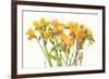 Freesia II-Tim O'toole-Framed Premium Giclee Print