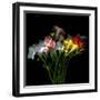 freesia-Magda Indigo-Framed Photographic Print