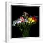 freesia-Magda Indigo-Framed Photographic Print