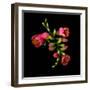 freesia-Magda Indigo-Framed Photographic Print