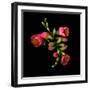 freesia-Magda Indigo-Framed Photographic Print