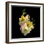 Freesia-Magda Indigo-Framed Photographic Print