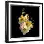 Freesia-Magda Indigo-Framed Photographic Print