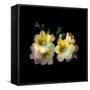 freesia-Magda Indigo-Framed Stretched Canvas