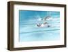 Freestyle Race (Motion and Lens Blur)-soupstock-Framed Photographic Print