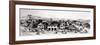 Freetown, Sierra Leone (Engraving)-English-Framed Giclee Print