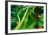 Freeway Interchange-Jay Dickman-Framed Photographic Print