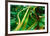 Freeway Interchange-Jay Dickman-Framed Photographic Print