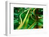 Freeway Interchange-Jay Dickman-Framed Photographic Print