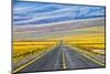 Freeway through Atacama Desert, San Pedro de Atacama, Antofagasta Region, Chile.-Keren Su-Mounted Photographic Print