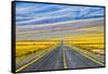 Freeway through Atacama Desert, San Pedro de Atacama, Antofagasta Region, Chile.-Keren Su-Framed Stretched Canvas