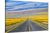 Freeway through Atacama Desert, San Pedro de Atacama, Antofagasta Region, Chile.-Keren Su-Stretched Canvas