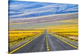 Freeway through Atacama Desert, San Pedro de Atacama, Antofagasta Region, Chile.-Keren Su-Stretched Canvas