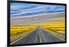 Freeway through Atacama Desert, San Pedro de Atacama, Antofagasta Region, Chile.-Keren Su-Framed Photographic Print